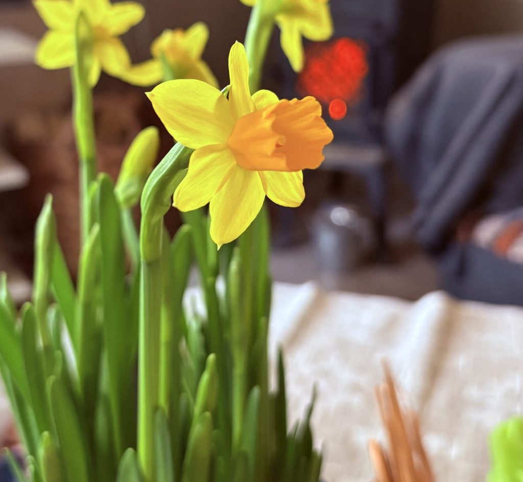 Förra Äret inföll pÄsken sent till skidanlÀggningars stora förtret.