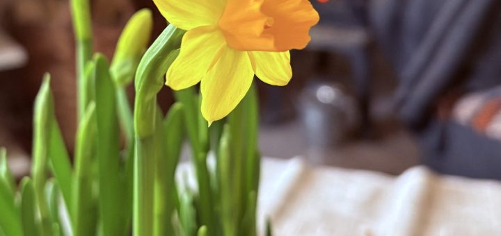 Förra året inföll påsken sent till skidanläggningars stora förtret.