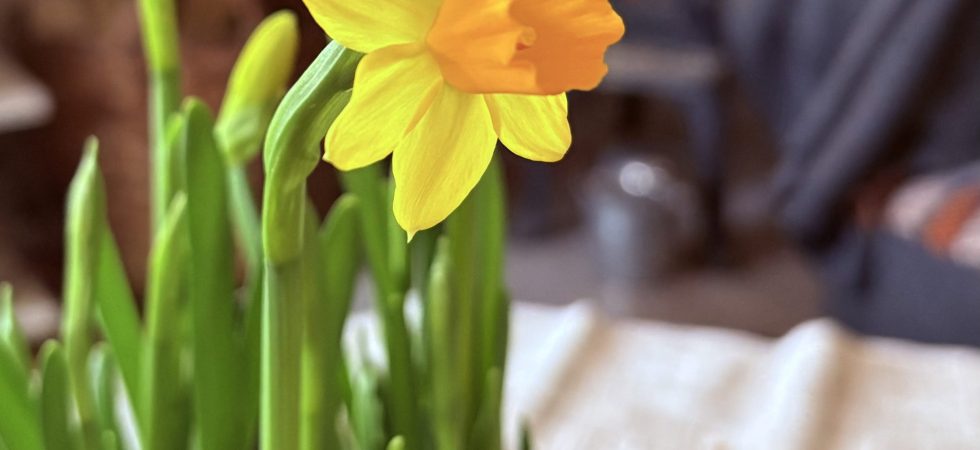 Förra året inföll påsken sent till skidanläggningars stora förtret.